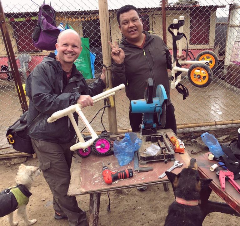 Read more about the article Handicap Dogs On Wheel