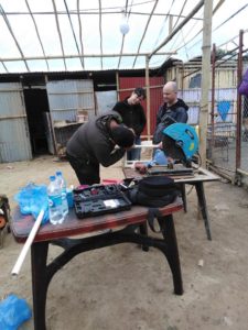 handicap-dogs-on-wheel-volunteer 2